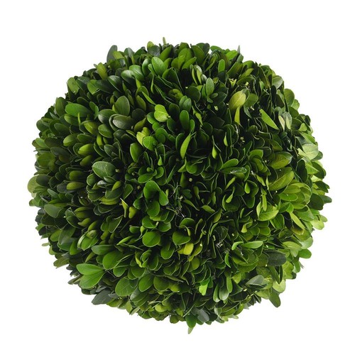 Boxwood topiary ball - boxwood,