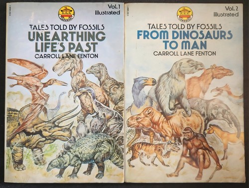 Vintage carousel books tales - books,