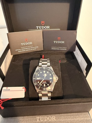Tudor pelagos 25407n - pelagos,