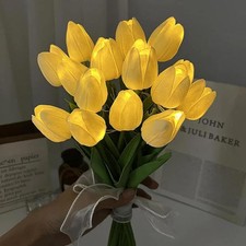 5/10x Atmospheres lamp LED