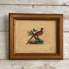 19th Century Bird Picture