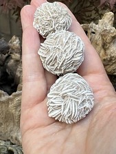 Desert rose frosted - rose, sand