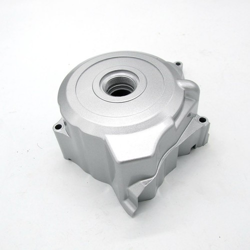 Engine crank case stator cover - crank,