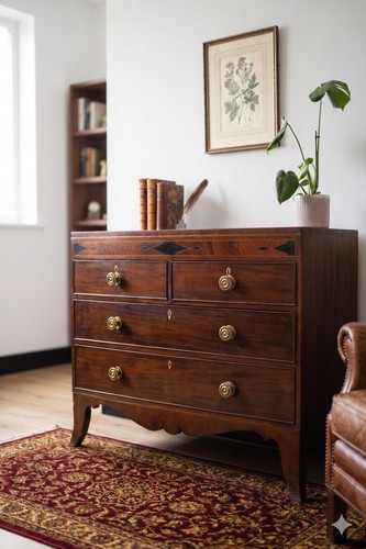Regency chest drawers - chest,