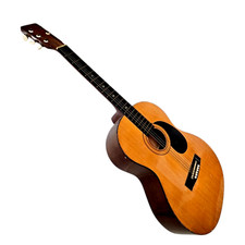 HOHNER MW-300 Acoustic Guitar