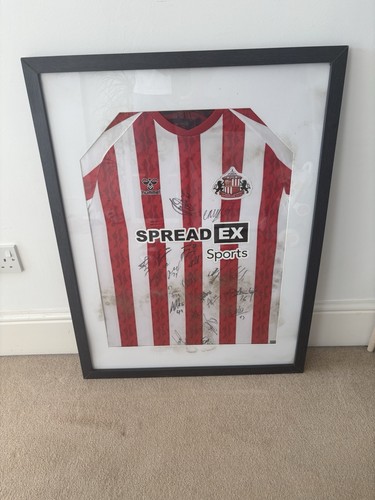 Sunderland afc football signed - sunderland,