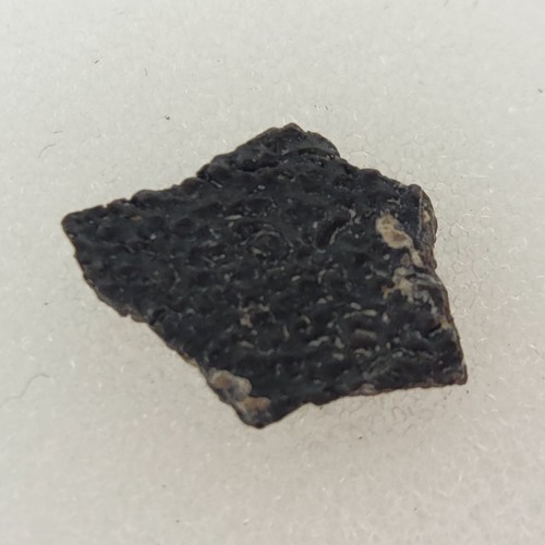 Hadrosaur egg shell fossil - hadrosaur,
