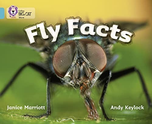 Fly facts band turquoise - fly,