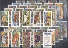 BROOKE BOND (TEA)-FULL SET-