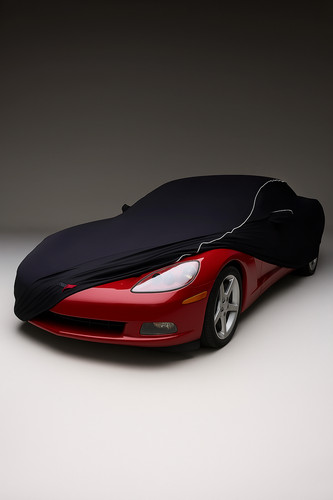 Indoor stretch cover - indoor, carcover