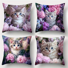 Beautiful 4 pieces set  cat
