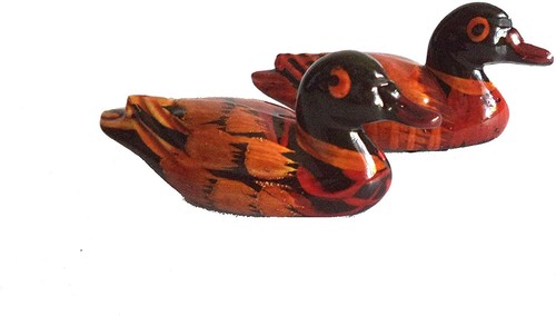 Feng shui mandarine - feng, ducks