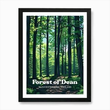 Forest Of Dean Denu Forest