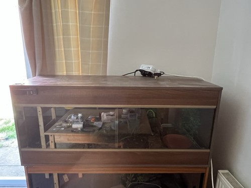 Vivarium habitat reptile - habitat,