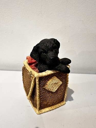 Puppy tales black - tales, labrador