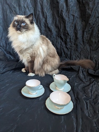 Vintage pale baby - pale, blue