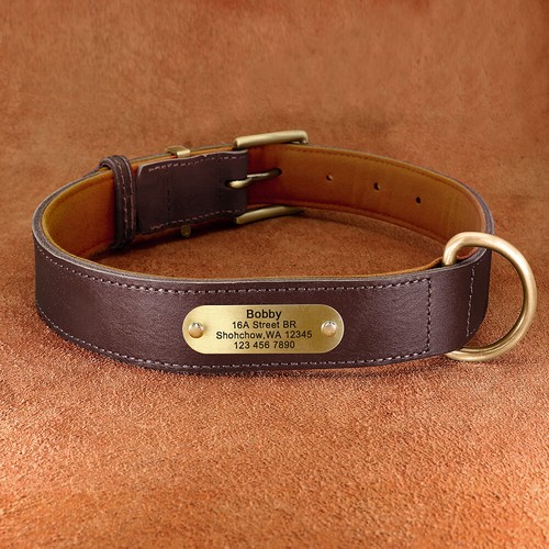 Genuine leather dog collar - leather,