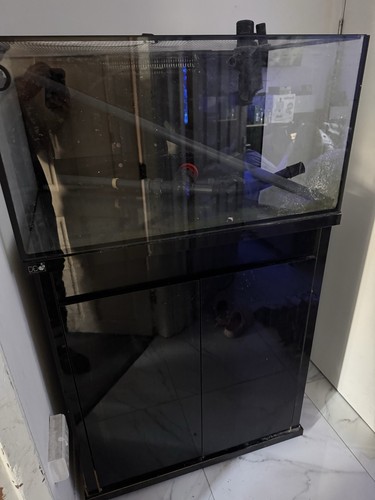 Reef pro 900 - reef, tank