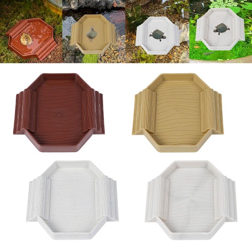 Tortoise water bowl - bowl, aquarium