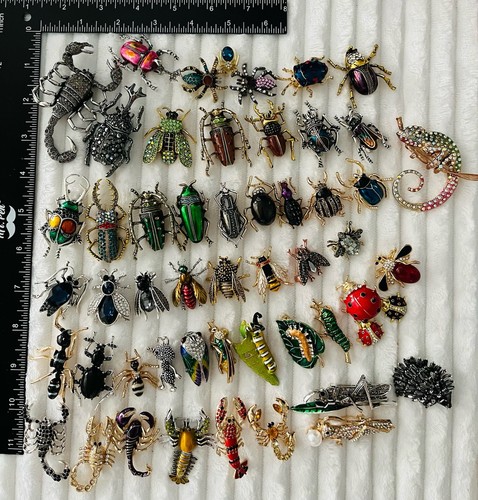 Huge 53pc bug - insect, brooch