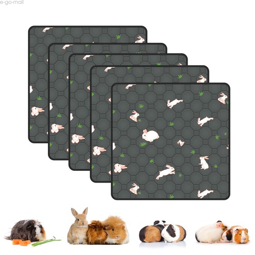 Pack waterproof guinea pig - 5,