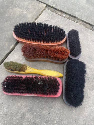 Shoe polish horse hair - shoe,