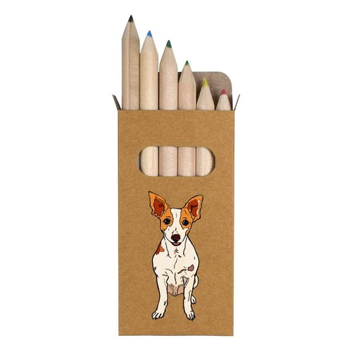 Rat terrier short - 6, x