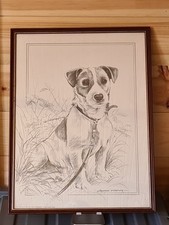 POLLYANNA PICKERING VINTAGE 1983 REPRODUCTION PENCIL PRINT NUMBER 09 Jack Russel