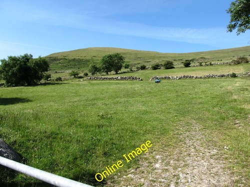 Photo 6x4 improved - 6x4, grazing
