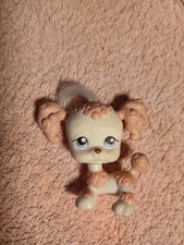 Petshop Dog Dog Poodle #255 /