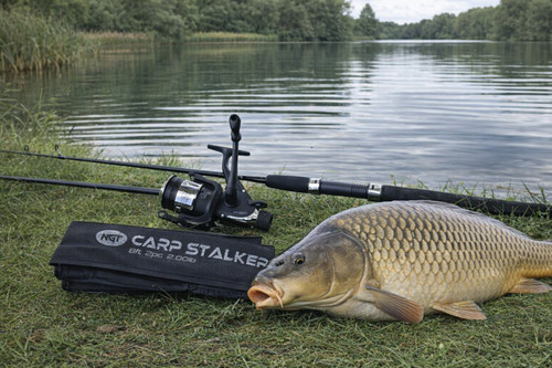 Carp fishing 8ft stalker rod - fishing, &
