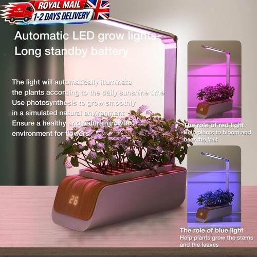 Indoor herb garden starter kit - garden,