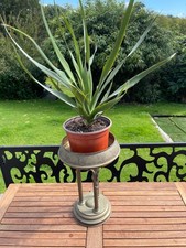 Vintage French Beautiful Brass Plant Stand Display Ashtray Decorative