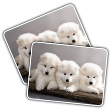 2x Vinyl Sticker Samoyed Puppy Dogs Bjelkier Dog #51965