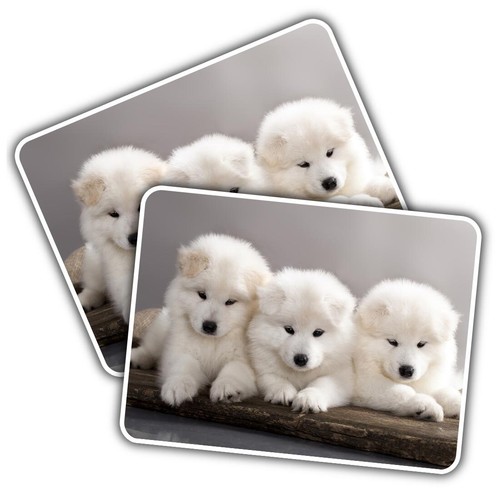Vinyl sticker samoyed - 2x,