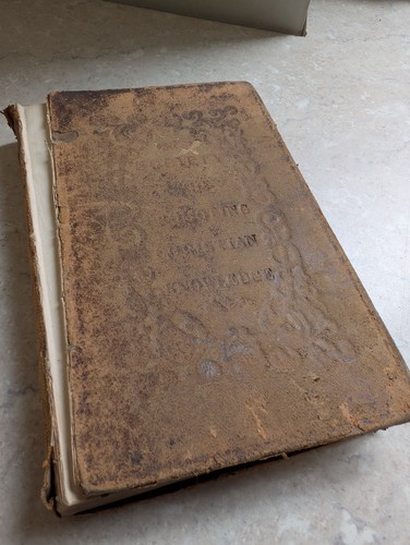 Book common prayer - common,