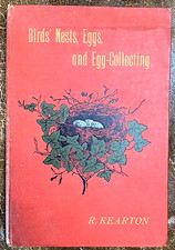 BIRDS' NESTS, EGGS AND EGG