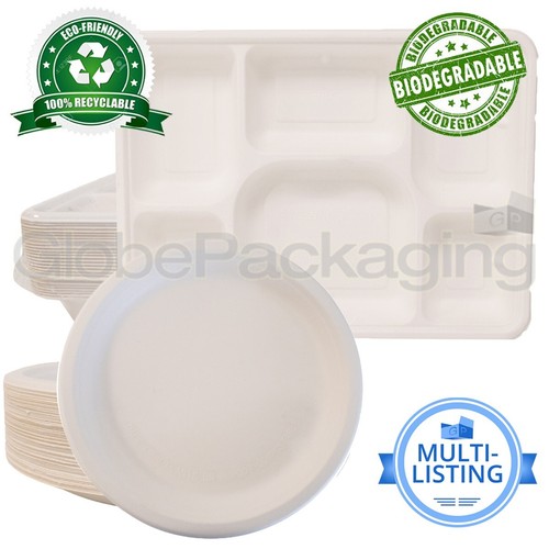 Strong bagasse biodegradable - bagasse,