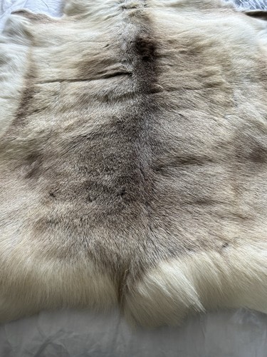 Reindeer hide rug scandinavian - hide,