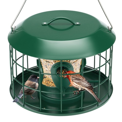 Bird feeder squirrel proof - bird,