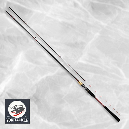Daiwa analystar light hirame - analystar,