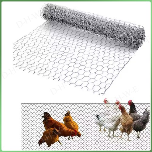 Galvanised chicken wire mesh - chicken,