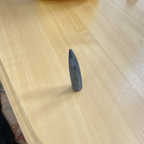 Belemnite fossil
