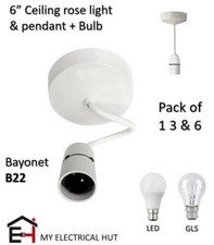 Ceiling Rose Light And Pendant