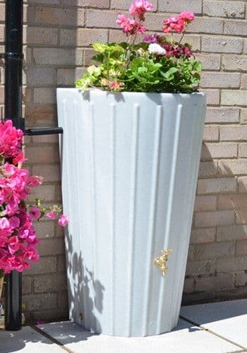 White marble cosmo - marble,