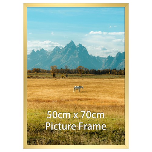 Vasemouh 50x70 picture - cm,