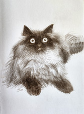 Original Drawing Birman Cat