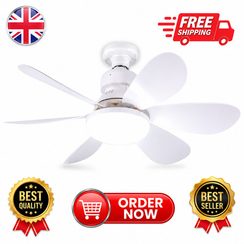 Modern led ceiling fan - modern,