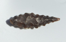 HIGH GRADE PREHISTORIC/