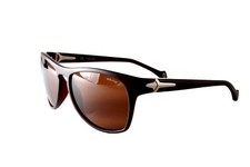 Police Polarised Sunglasses
